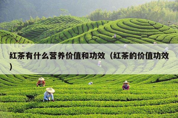 红茶有什么营养价值和功效（红茶的价值功效）