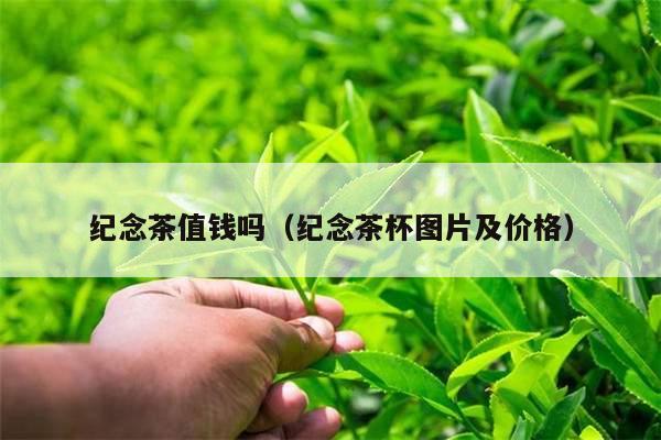 纪念茶值钱吗（纪念茶杯图片及价格）