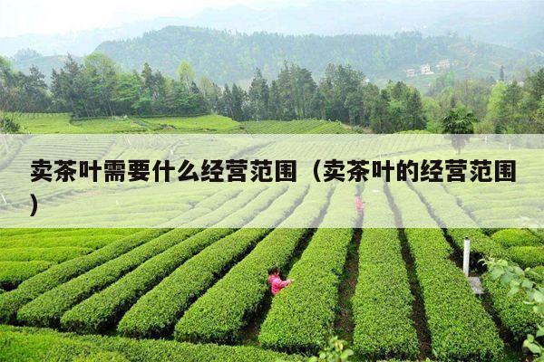 卖茶叶需要什么经营范围（卖茶叶的经营范围）