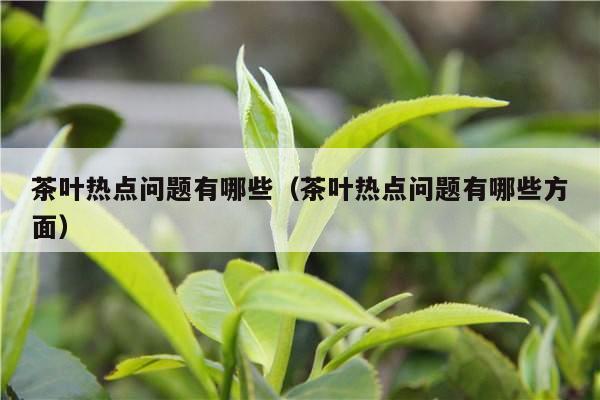 茶叶热点问题有哪些（茶叶热点问题有哪些方面）