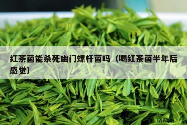 红茶菌能杀死幽门螺杆菌吗（喝红茶菌半年后感觉）