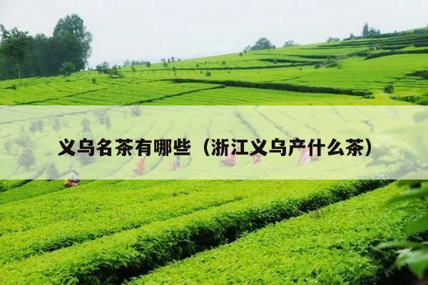 义乌名茶有哪些（浙江义乌产什么茶）