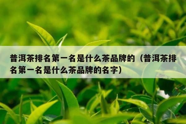 普洱茶排名第一名是什么茶品牌的（普洱茶排名第一名是什么茶品牌的名字）