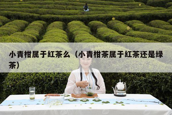 小青柑属于红茶么（小青柑茶属于红茶还是绿茶）