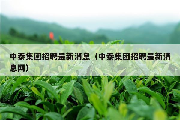 中泰集团招聘最新消息（中泰集团招聘最新消息网）