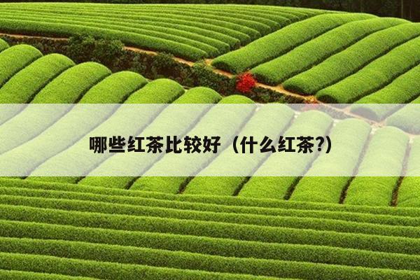 哪些红茶比较好（什么红茶?）