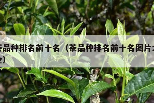 茶品种排名前十名（茶品种排名前十名图片大全）