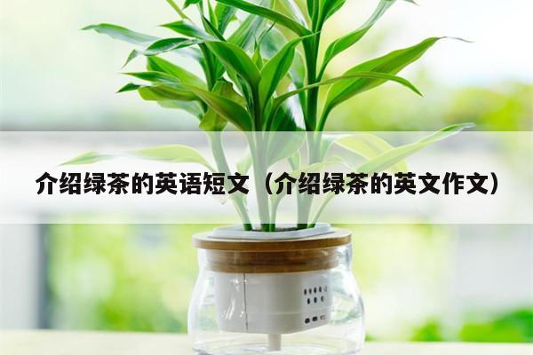 介绍绿茶的英语短文（介绍绿茶的英文作文）