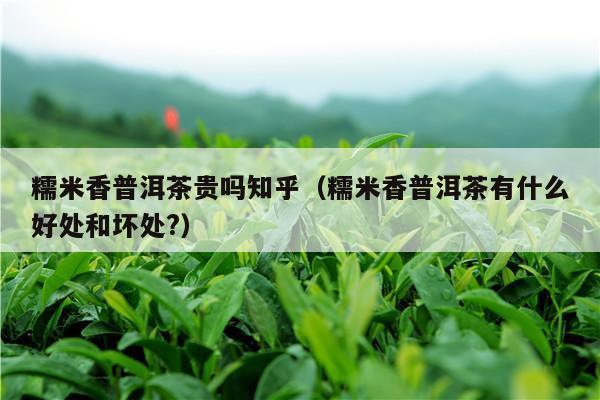 糯米香普洱茶贵吗知乎（糯米香普洱茶有什么好处和坏处?）