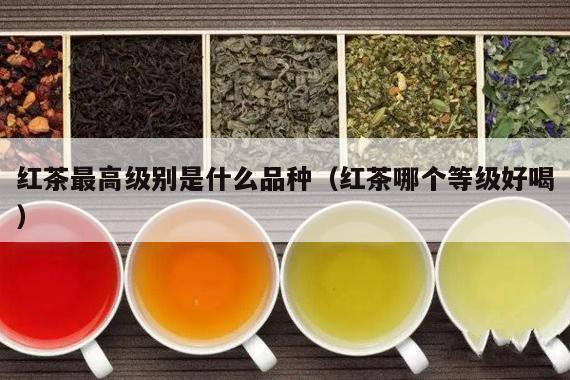 红茶最高级别是什么品种（红茶哪个等级好喝）