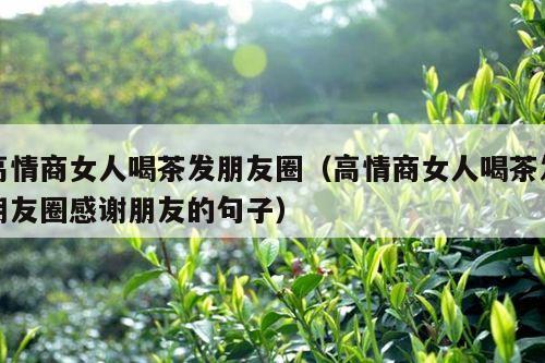 高情商女人喝茶发朋友圈（高情商女人喝茶发朋友圈感谢朋友的句子）