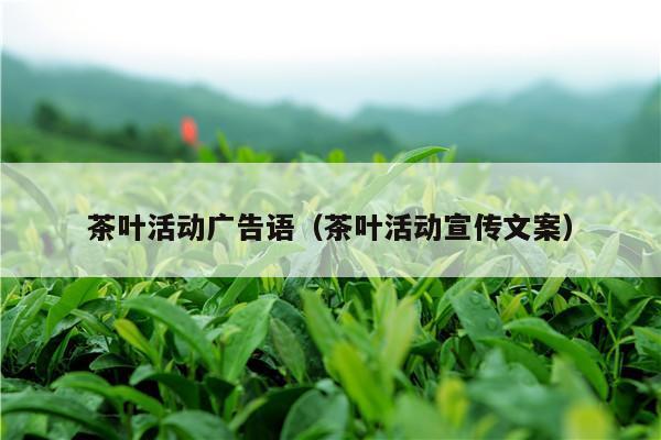 茶叶活动广告语（茶叶活动宣传文案）