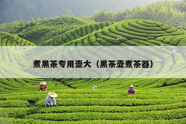 煮黑茶专用壶大（黑茶壶煮茶器）