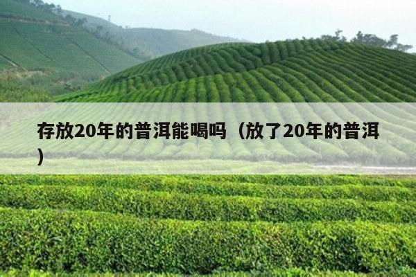 存放20年的普洱能喝吗（放了20年的普洱）