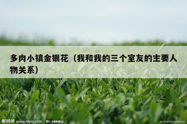 多肉小镇金银花（我和我的三个室友的主要人物关系）