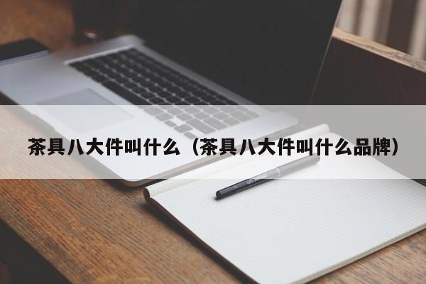 茶具八大件叫什么（茶具八大件叫什么品牌）