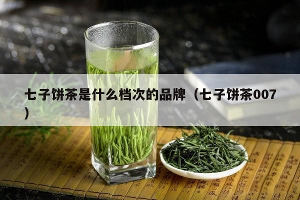 七子饼茶是什么档次的品牌（七子饼茶007）