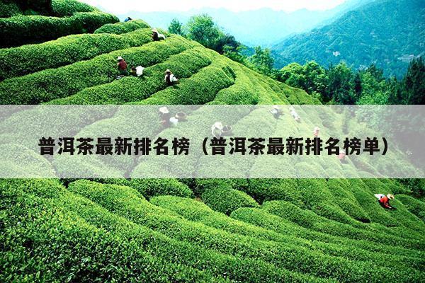 普洱茶最新排名榜（普洱茶最新排名榜单）