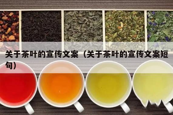 关于茶叶的宣传文案（关于茶叶的宣传文案短句）