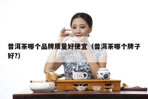 普洱茶哪个品牌质量好便宜（普洱茶哪个牌子好?）