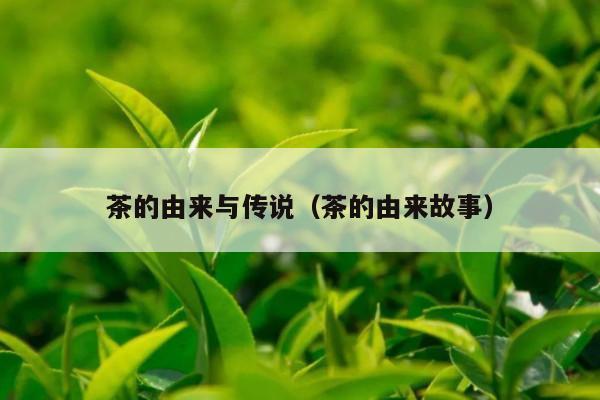 茶的由来与传说（茶的由来故事）