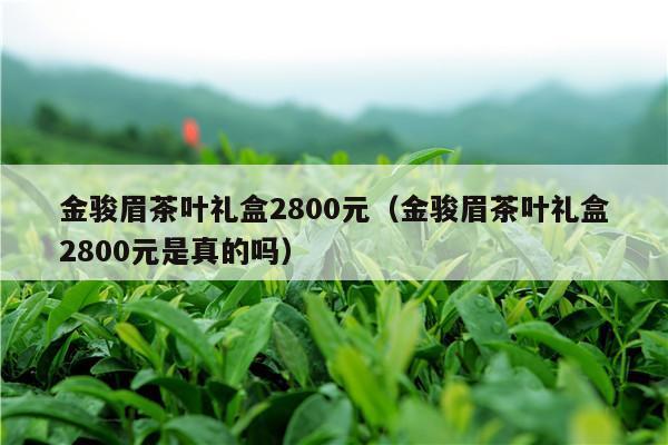 金骏眉茶叶礼盒2800元（金骏眉茶叶礼盒2800元是真的吗）