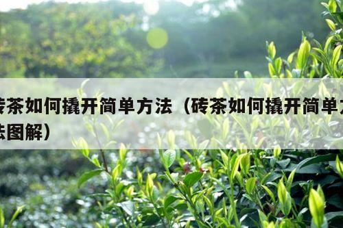 砖茶如何撬开简单方法（砖茶如何撬开简单方法图解）