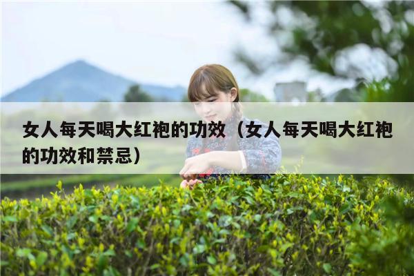 女人每天喝大红袍的功效（女人每天喝大红袍的功效和禁忌）