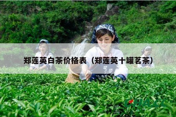 郑莲英白茶价格表（郑莲英十罐茗茶）