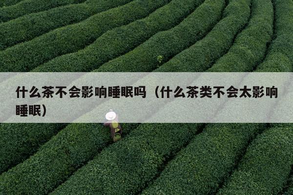 什么茶不会影响睡眠吗（什么茶类不会太影响睡眠）