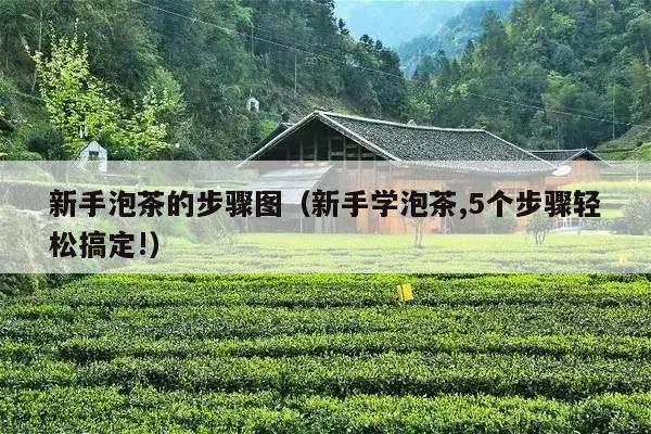 新手泡茶的步骤图（新手学泡茶,5个步骤轻松搞定!）