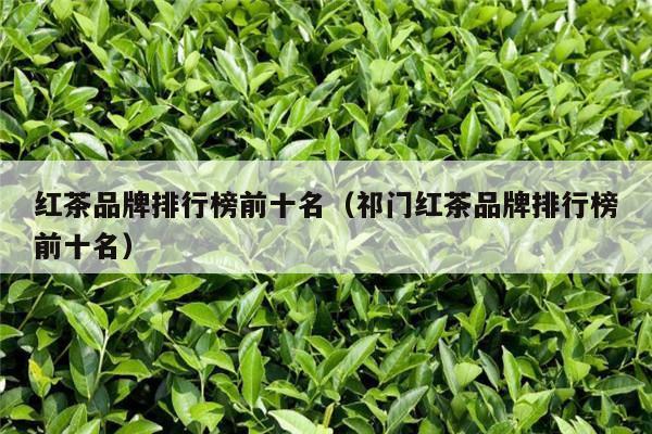 红茶品牌排行榜前十名（祁门红茶品牌排行榜前十名）