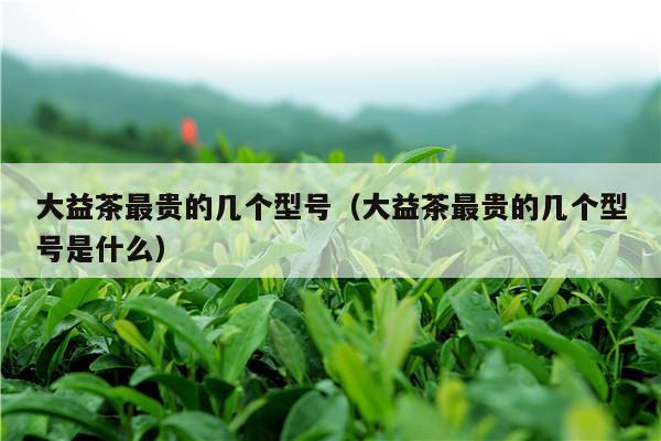 大益茶最贵的几个型号（大益茶最贵的几个型号是什么）