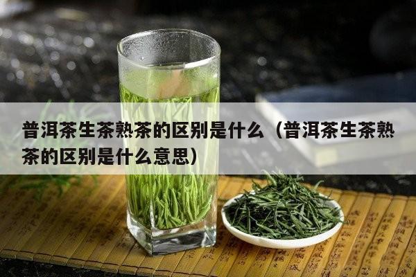 普洱茶生茶熟茶的区别是什么（普洱茶生茶熟茶的区别是什么意思）