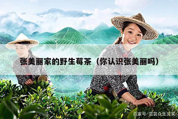 张美丽家的野生莓茶（你认识张美丽吗）