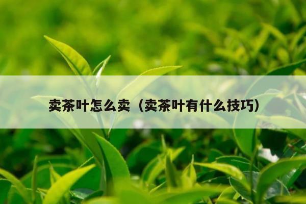 卖茶叶怎么卖（卖茶叶有什么技巧）