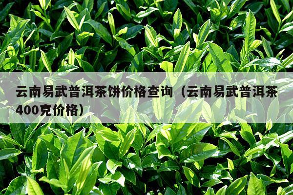 云南易武普洱茶饼价格查询（云南易武普洱茶400克价格）