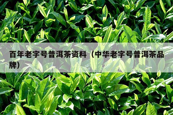 百年老字号普洱茶资料（中华老字号普洱茶品牌）