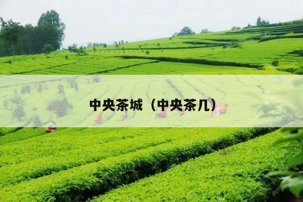 中央茶城（中央茶几）