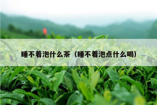 睡不着泡什么茶（睡不着泡点什么喝）