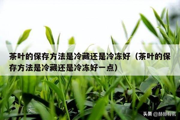 茶叶的保存方法是冷藏还是冷冻好（茶叶的保存方法是冷藏还是冷冻好一点）