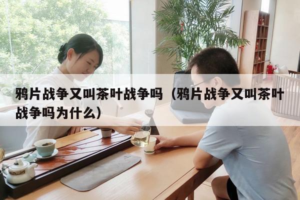 鸦片战争又叫茶叶战争吗（鸦片战争又叫茶叶战争吗为什么）