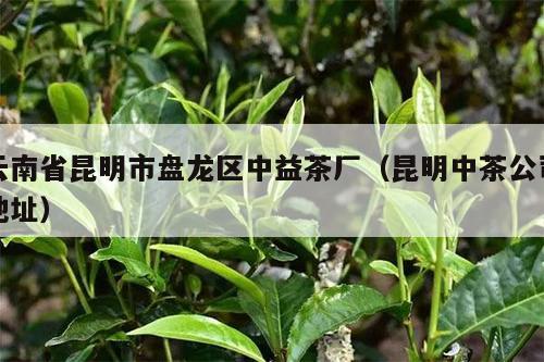 云南省昆明市盘龙区中益茶厂（昆明中茶公司地址）