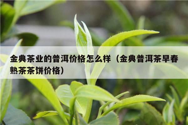 金典茶业的普洱价格怎么样（金典普洱茶早春熟茶茶饼价格）