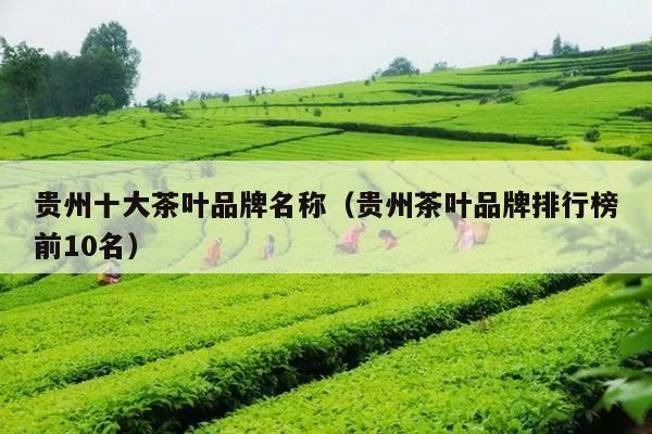 贵州十大茶叶品牌名称（贵州茶叶品牌排行榜前10名）