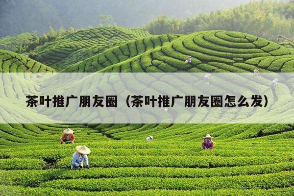 茶叶推广朋友圈（茶叶推广朋友圈怎么发）