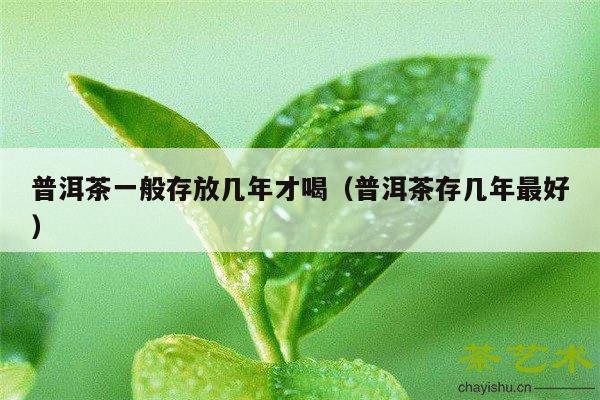 普洱茶一般存放几年才喝（普洱茶存几年最好）