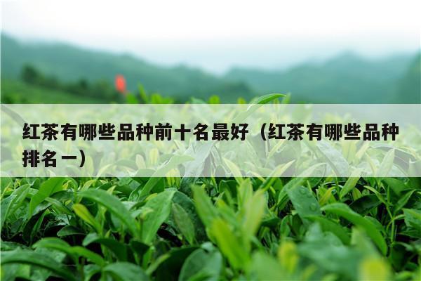 红茶有哪些品种前十名最好（红茶有哪些品种排名一）