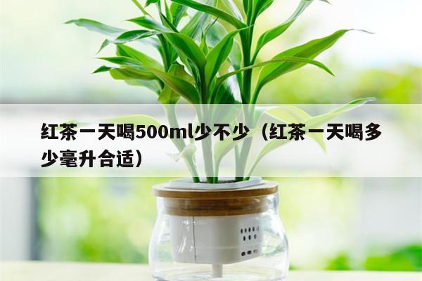 红茶一天喝500ml少不少（红茶一天喝多少毫升合适）