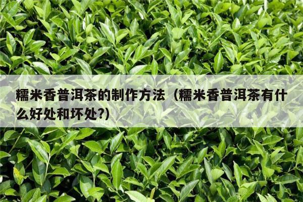 糯米香普洱茶的制作方法（糯米香普洱茶有什么好处和坏处?）